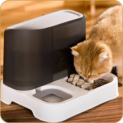 distributeur de croquettes pour chat | economique
