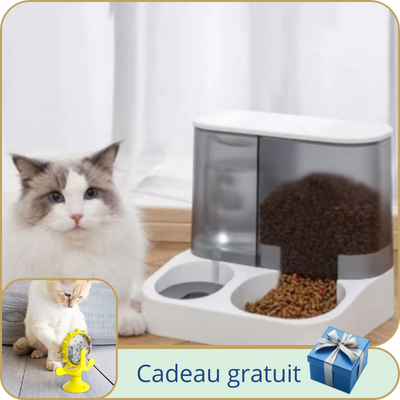 distributeur de croquettes pour chat | economique
