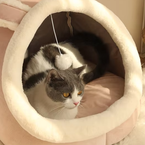Canane-pour-chat-Lapin-Rose-chat-gauche-blanc-brun