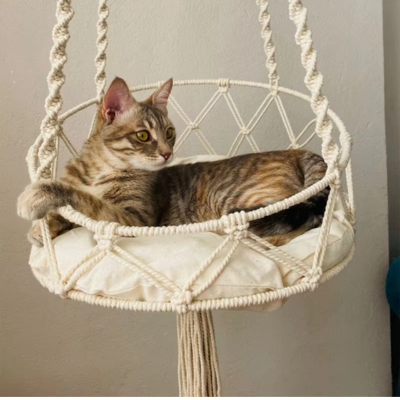 hamac pour chat | Gitan