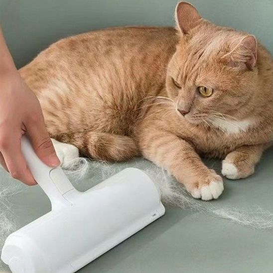 brosse-anti-poil-avec-chat-roux