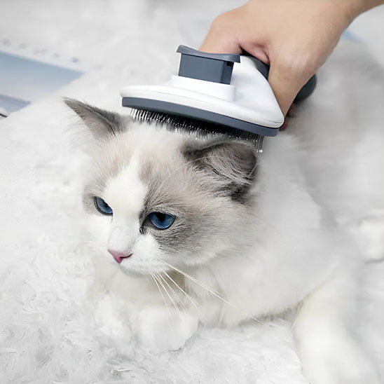 brosse-chat-autonettoyante-avec-chat-beige