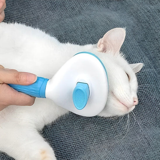 brosse-chat-autonettoyante-bleu