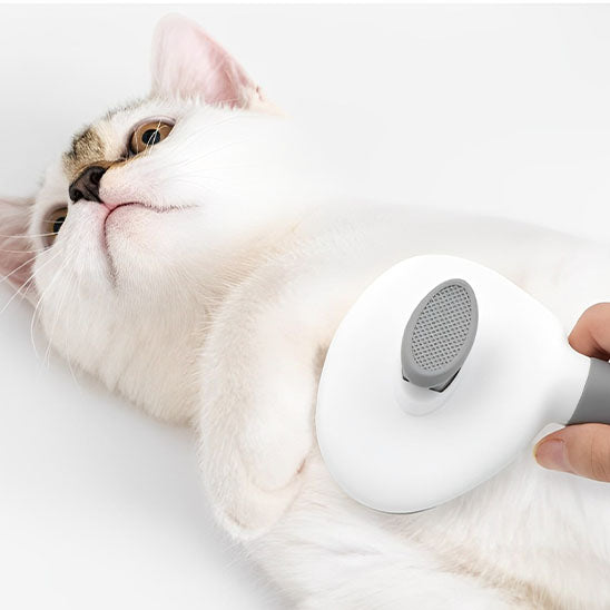 brosse-chat-autonettoyante-grise