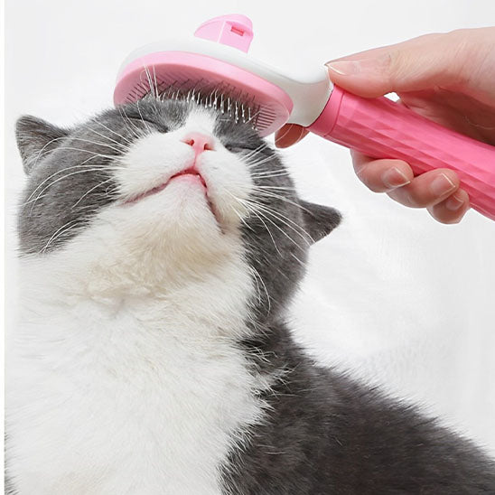 brosse-chat-autonettoyante-rose