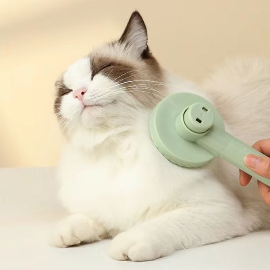 brosse-pour-chat-_avec-chat-beige-et-brosse-verte