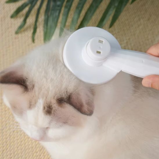 brosse-pour-chat-blanche