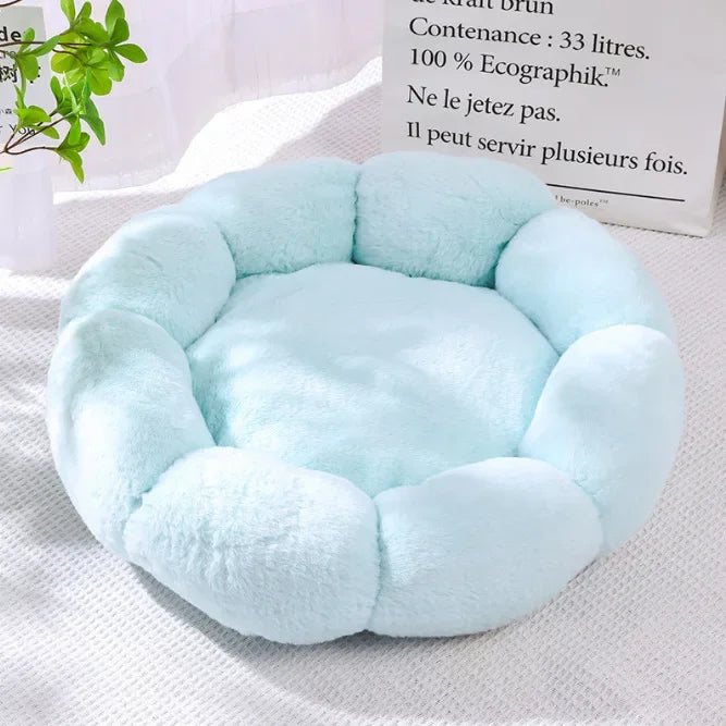 coussin-pour-chat-Fleur-bleu-ciel