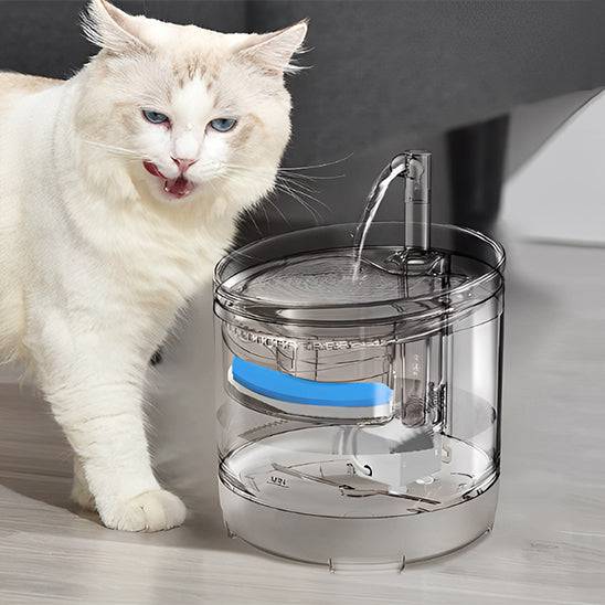 fontaine Ă eau pour chat | La Transparente