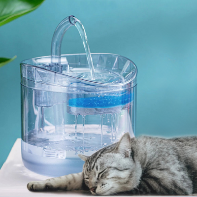 fontaine Ă eau pour chat | La Transparente