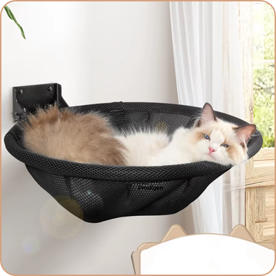 hamac-pour-chat-Mural-avec-chat-beige-et-blanc