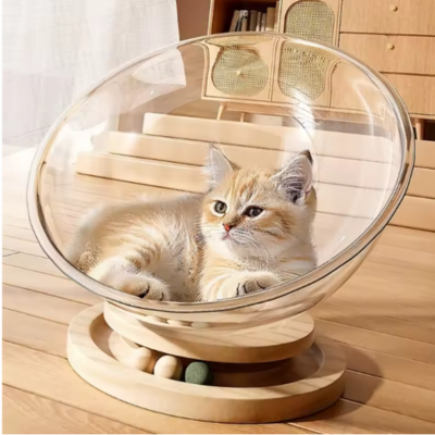 hamac-pour-chat-avec-chat-tigree