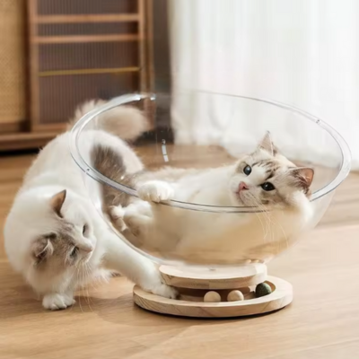 hamac-pour-chat-avec-deux-chat