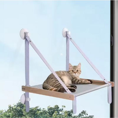 hamac-pour-chat-fenetre-avec-chat-tigre