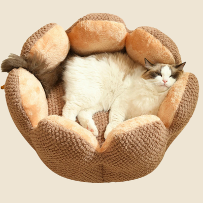 Lit pour chat | Lotus