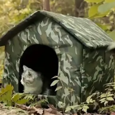 niche-exterieure-pour-chat-CamoVert-bois-zoome
