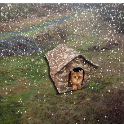 niche-exterieure_pour-chat_-CamoJaune-chat-roux-quie-est-dans-la-neige
