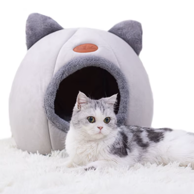 niche-pour-chat-chartreux-principale