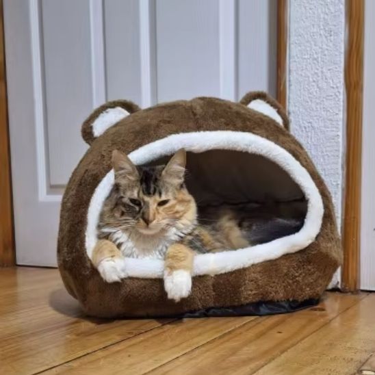 niche-pour-chat-espagne-gaucheniche-pour-chat-espagne-gauches