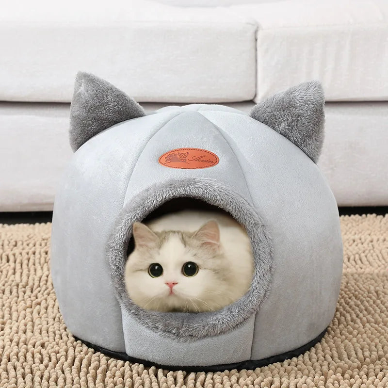 niche pour chat | Chartreux