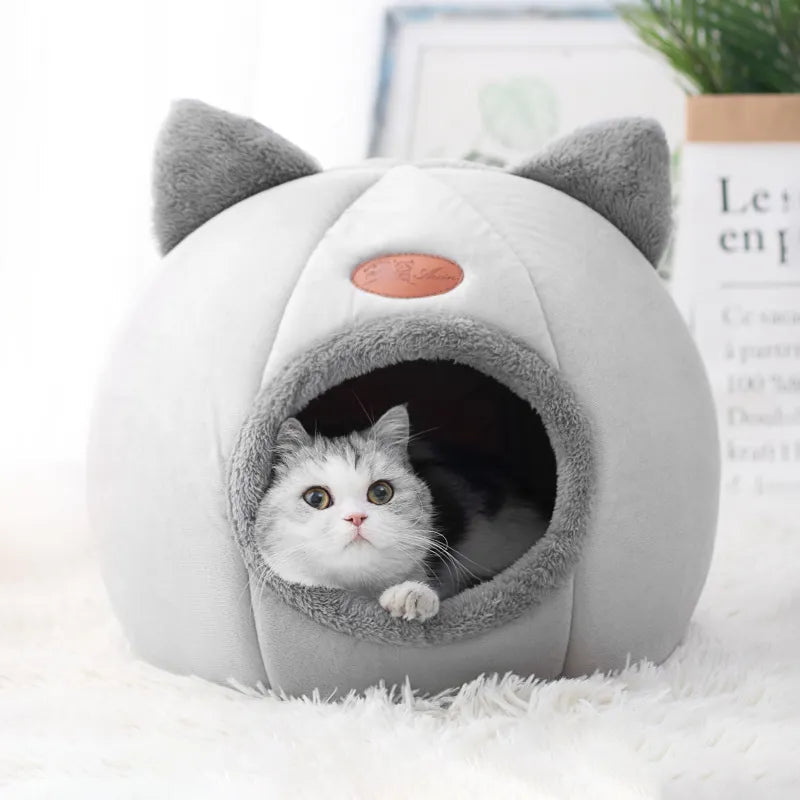 niche pour chat | Chartreux