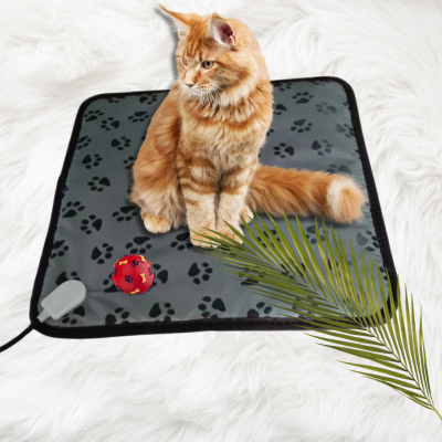 Coussin-chauffant-pour_chat-ChauffeCat_orange-gauche