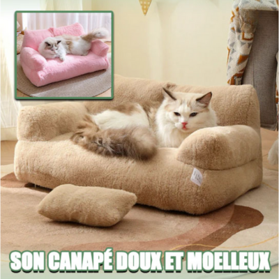 canape-pour-chat-LeRoyal-café-chat-blanc