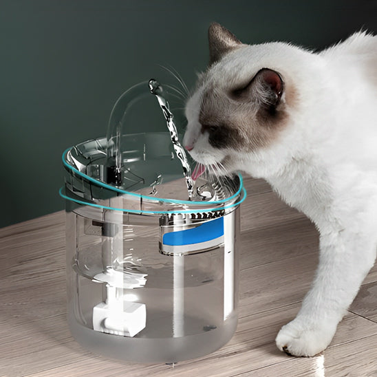 fontaine à eau pour chat | La Transparente