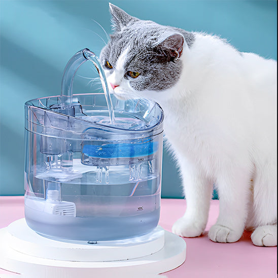 fontaine à eau pour chat | La Transparente