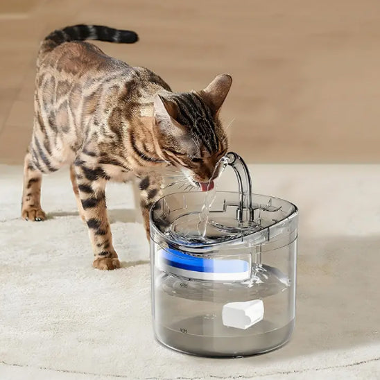 fontaine à eau pour chat | La Transparente