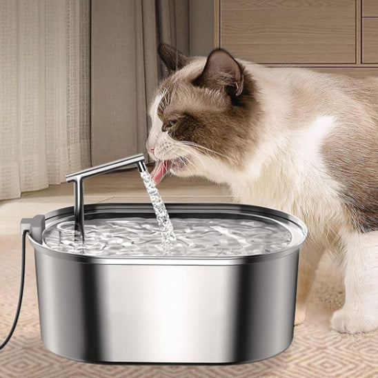 fontaine-a-eau-pour-chat-avec-chat-qui-bois-droit