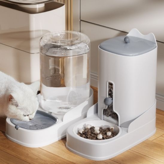 gamelle-automatique-chat-avec-chat-blanc-qui-mange