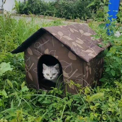 niche-exterieure-pour-chat-feuillu-chat-face