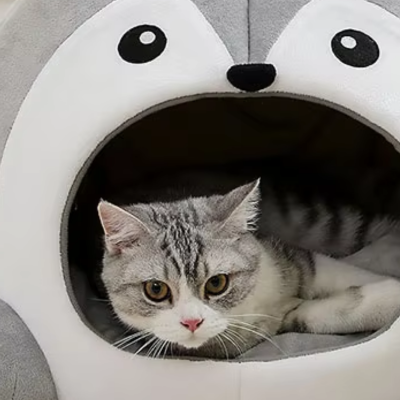 niche pour chat | Grisou